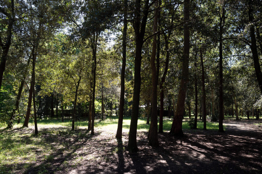 om 12mm 1 400 f28 4250074 scaled 1